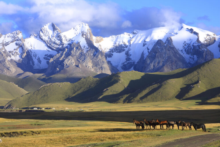 Kyrgyzstan Protects Its Biodiversity With New 800,000 Hecacre Eco Corridor
