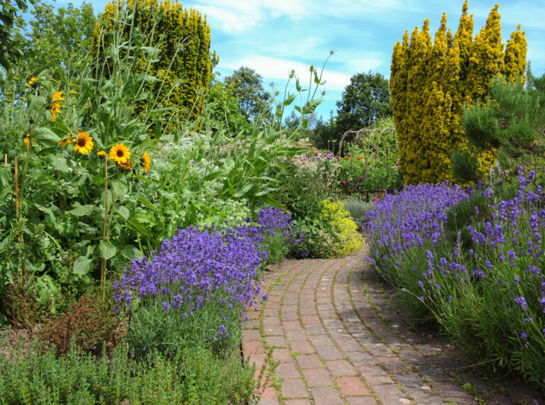BBC Gardener Nick Bailey Donates His Entire Garden To The University of Leicester