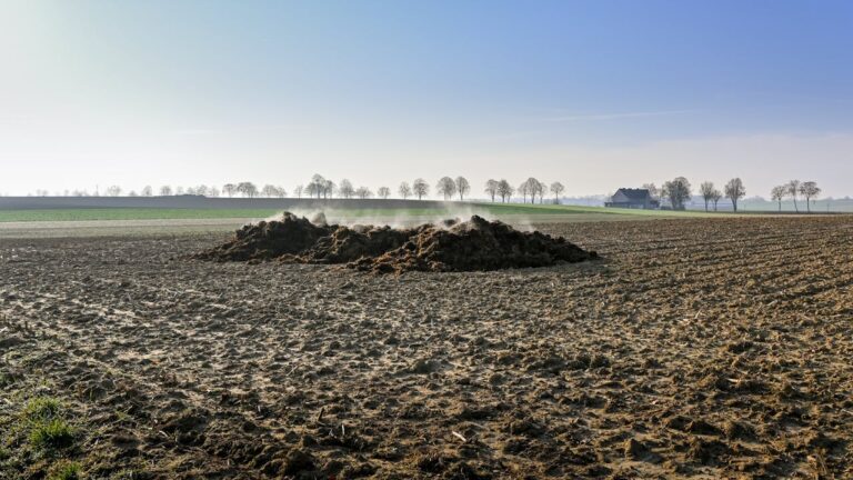 Scientists Turn Cow Dung Into Everyday Materials In Dung-tastic Breakthrough