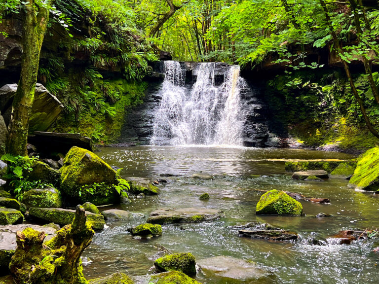 Yorkshire Community Comes Together To Buy & Preserve Ancient Woodland & Waterfall