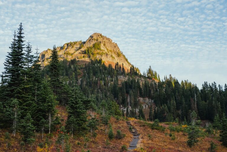 Volunteers Come Together To Repair Appalachian Trail Sections Ruined By Hurricane Helene