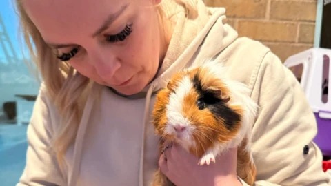 Bride Saves 42 Guinea Pigs Only Days Before Saying &lsquo;I Do&rsquo;